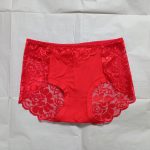 Beautiful Lace Panties - Image 12