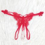 Butterfly lace thong penty - Image 13