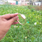 Bracelet oval shape watch [Gold White] - Image 6