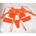 Lingerie mesh Bikini - Image 5